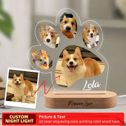 pets photo night light