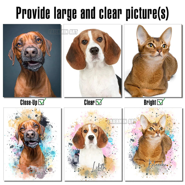 Pet Portrait Custom