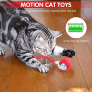 Interactive Rolling Cat Ball, Dog Toys Rolling Ball for Indoor, 360° Smart Automatic Rolling Pet Ball,  Self Rolling Ball