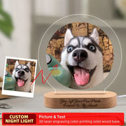 Dropship CUSTOM 3D Pet Photo Lamp DIY Customized Pet Portrait Night Light Personalized Dog Lamp Cat Photo Light Memorial Gift