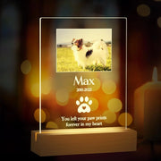 Personalized Custom Pet Photo Frame 3D Acrylic Lamp Customized Dog Cat Memorial Photo Frame Pet Sympathy Gifts LED Night Light