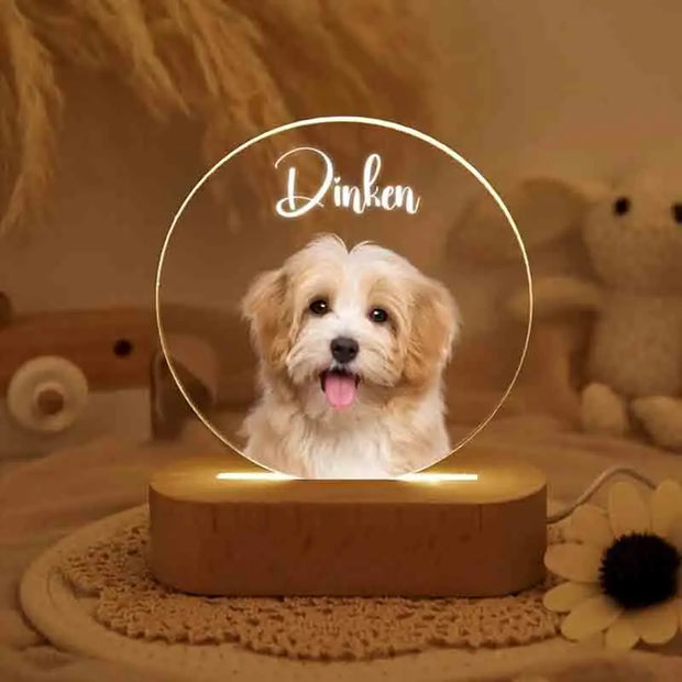 Dropship CUSTOM 3D Pet Photo Lamp DIY Customized Pet Portrait Night Light Personalized Dog Lamp Cat Photo Light Memorial Gift