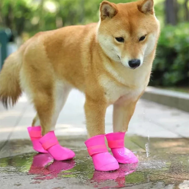 Pet Waterproof Rainshoe