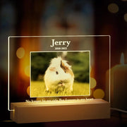 Personalized Custom Pet Photo Frame 3D Acrylic Lamp Customized Dog Cat Memorial Photo Frame Pet Sympathy Gifts LED Night Light