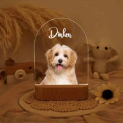 Dropship CUSTOM 3D Pet Photo Lamp DIY Customized Pet Portrait Night Light Personalized Dog Lamp Cat Photo Light Memorial Gift