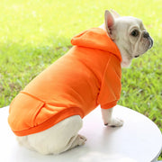 Pet Coat Cat Jacket Clothes