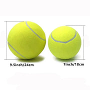 pet tennis ball