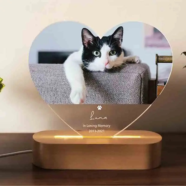 Dropship CUSTOM 3D Pet Photo Lamp DIY Customized Pet Portrait Night Light Personalized Dog Lamp Cat Photo Light Memorial Gift