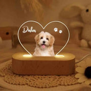 Dropship CUSTOM 3D Pet Photo Lamp DIY Customized Pet Portrait Night Light Personalized Dog Lamp Cat Photo Light Memorial Gift