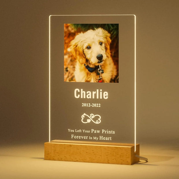 Personalized Custom Pet Photo Frame 3D Acrylic Lamp Customized Dog Cat Memorial Photo Frame Pet Sympathy Gifts LED Night Light