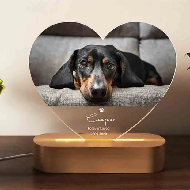 Dropship CUSTOM 3D Pet Photo Lamp DIY Customized Pet Portrait Night Light Personalized Dog Lamp Cat Photo Light Memorial Gift