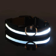 Dog Collar Nylon LED