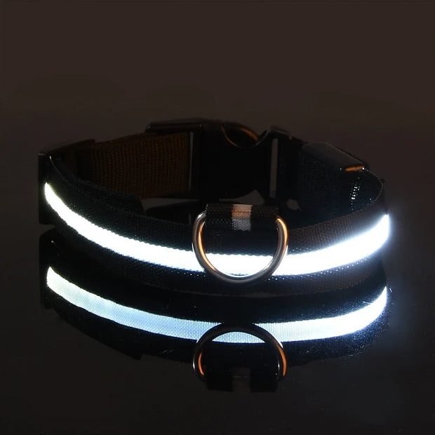 Dog Collar Nylon LED