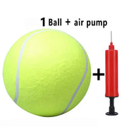 pet tennis ball