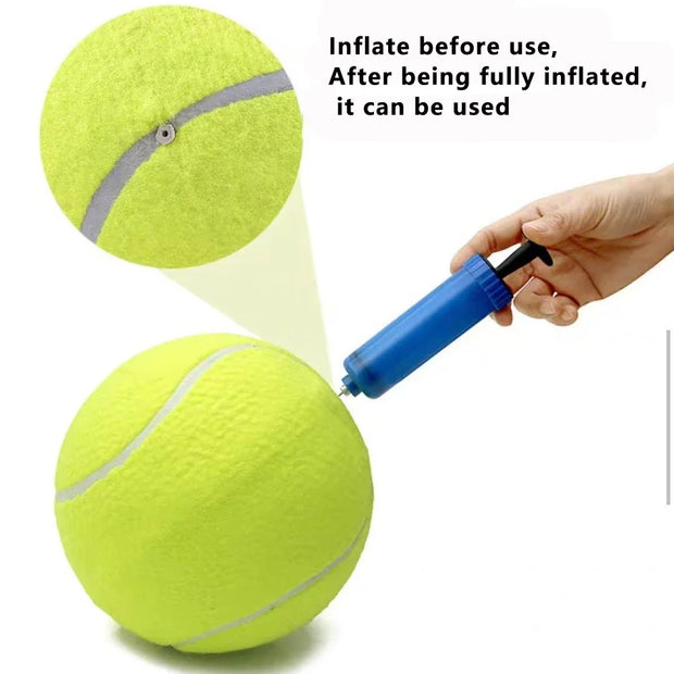 pet tennis ball