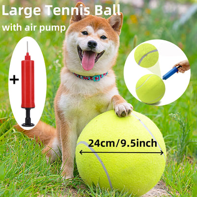 pet tennis ball