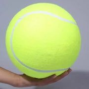 pet tennis ball