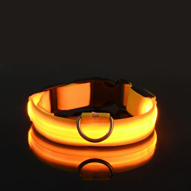 Dog Collar Nylon LED