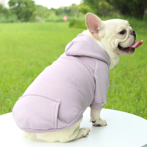 Pet Coat Cat Jacket Clothes